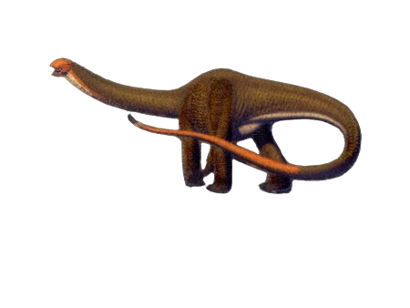 Apatosaurus Patch