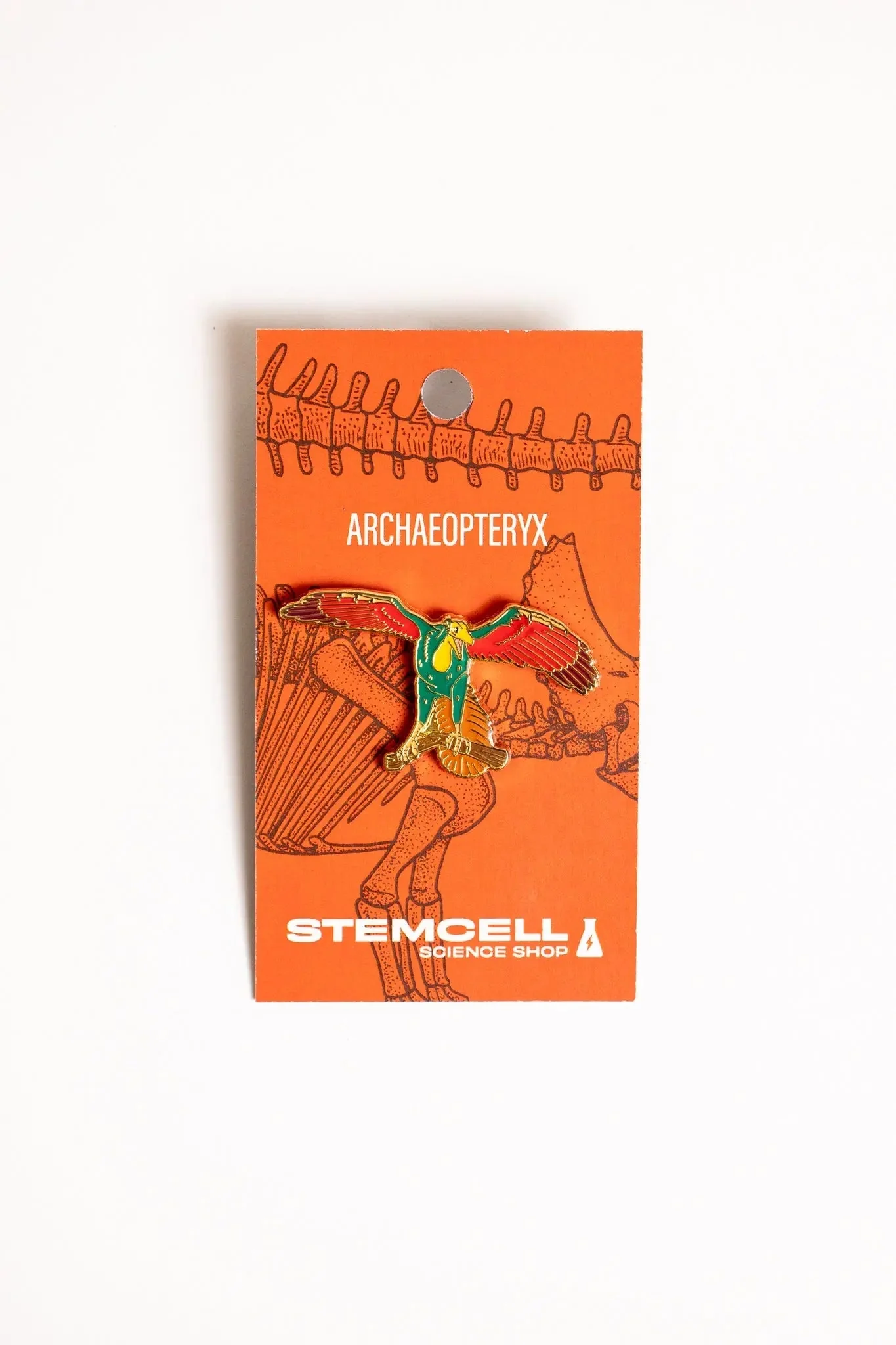 Archaeopteryx Pin - Image 2