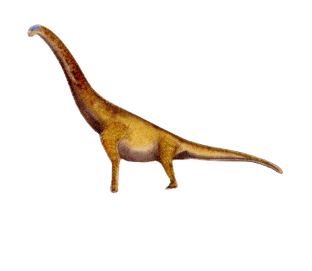 Brachiosaurus Patch