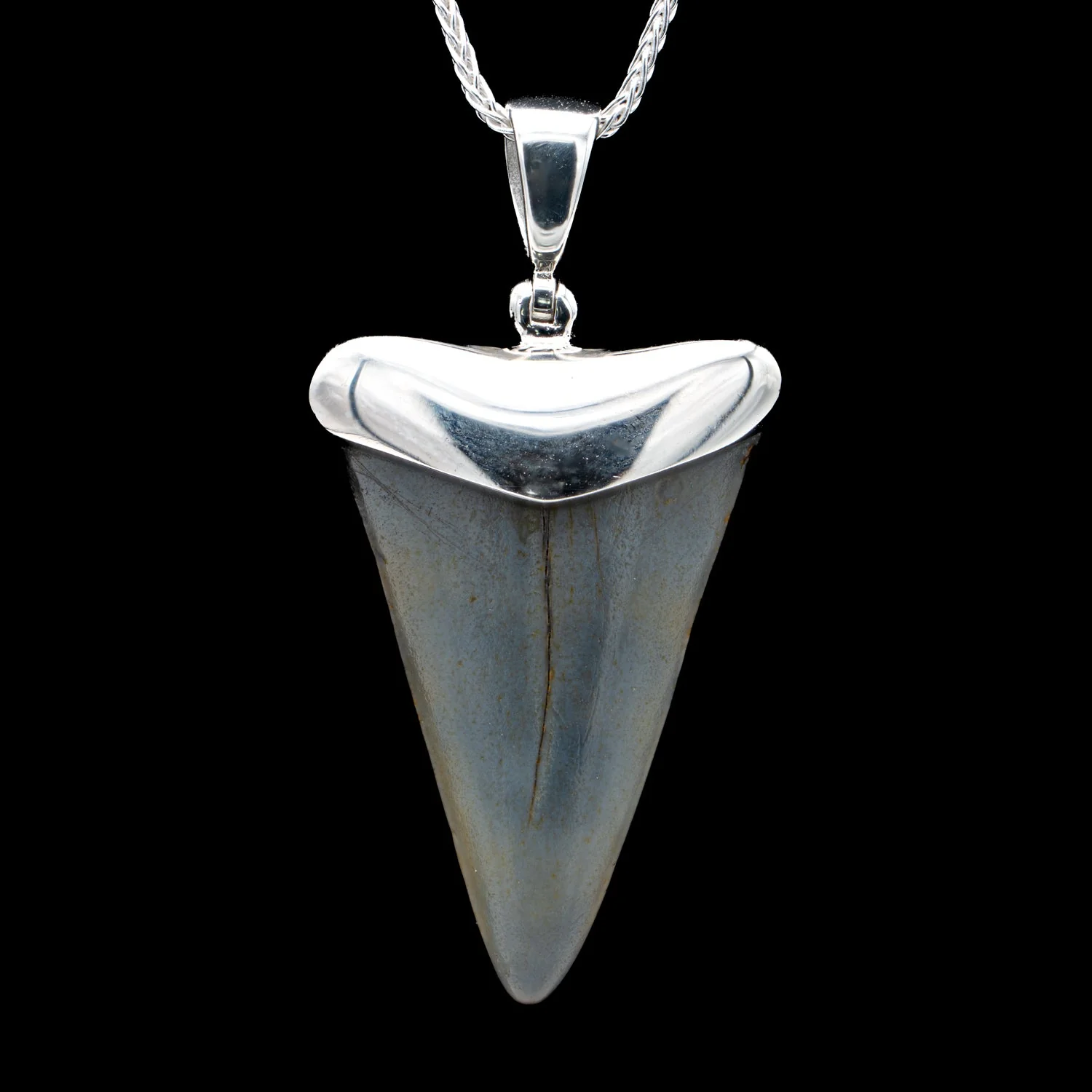 Fossil Shark Tooth Pendant - Image 12