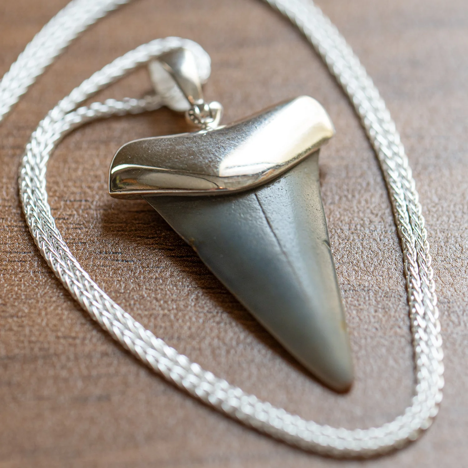 Fossil Shark Tooth Pendant - Image 2