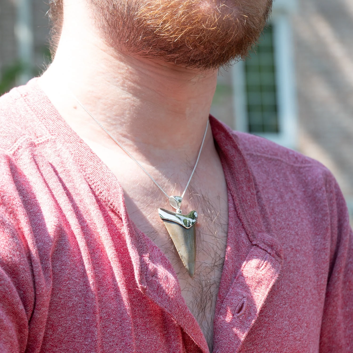 Fossil Shark Tooth Pendant - Image 9